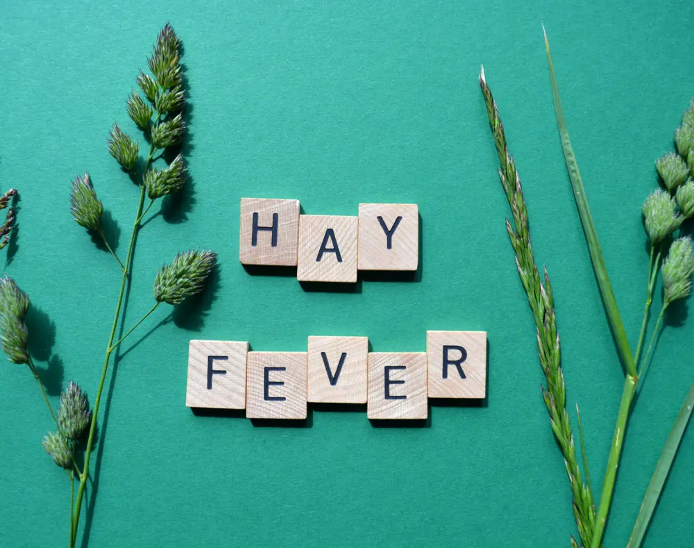 Wooden tiles spell "HAY FEVER" on a green background, surrounded by sprigs of grass and plants.